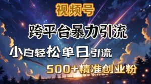 跨平台暴力引流，私域完美闭环，日引500+精准创业粉-海旭网创