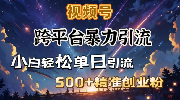 跨平台暴力引流，私域完美闭环，日引500+精准创业粉-海旭网创