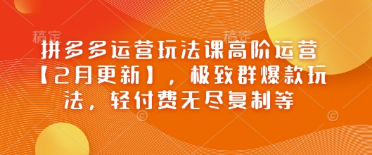 拼多多运营玩法课高阶运营【2月更新】，极致群爆款玩法，轻付费无尽复制等-海旭网创