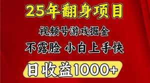 一天收益1000+ 25年开年落地好项目-海旭网创