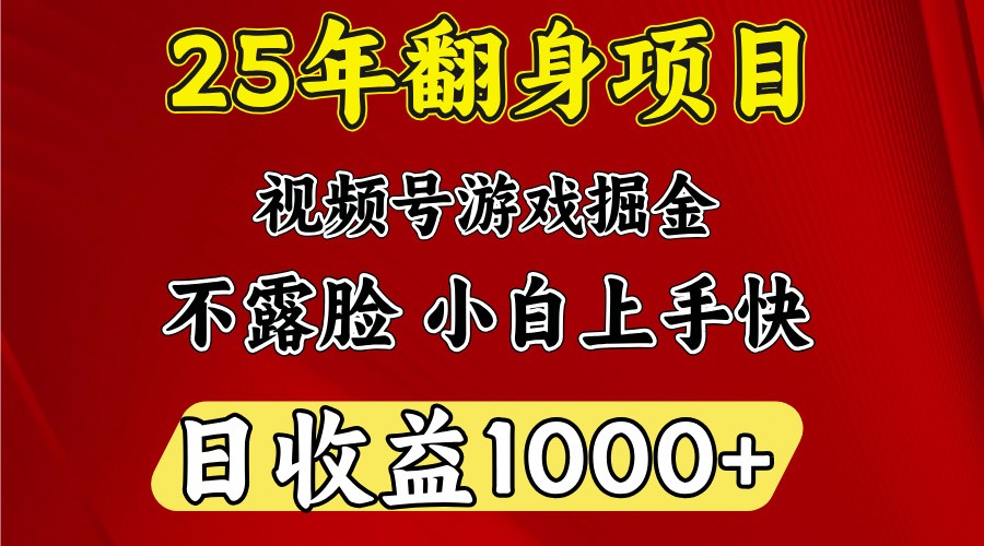 一天收益1000+ 25年开年落地好项目-海旭网创
