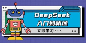 DeepSeek入门到精通，涵盖职场应用及身份扮演，驯服指南及顶级提示词-海旭网创