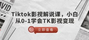 TikTok影视解说课，小白从0-1学会TK影视变现-海旭网创