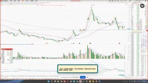 大师兄·鹿鼎山系列内部课程(更新2025年1月)-海旭网创