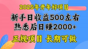 2025开年好项目，单号日收益2000左右-海旭网创