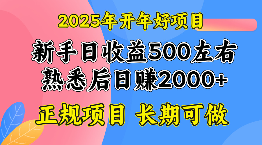 2025开年好项目，单号日收益2000左右-海旭网创