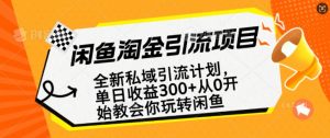 闲鱼淘金私域引流计划，从0开始玩转闲鱼，副业也可以挣到全职的工资-海旭网创