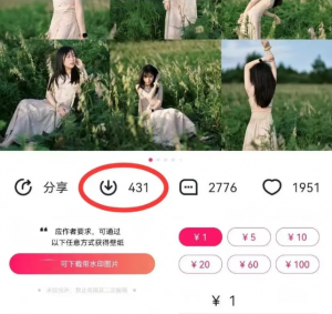 最新图虫搬运项目，收益无上限，利用AI小白也可日赚500+-海旭网创