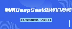 利用DeepSeek做怀旧视频，流量号多渠道变现能力强-海旭网创