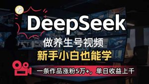 小白用DeepSeek做养生号，一条作品涨粉5万+，单日收益上千-海旭网创