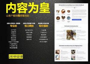 刘老师·外贸询盘增长秘籍从0到1的实战指南-海旭网创