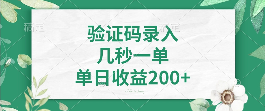 验证码录入，几秒一单，单日收益200+-海旭网创
