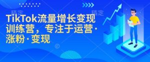 TikTok流量增长变现训练营，专注于运营·涨粉·变现-海旭网创