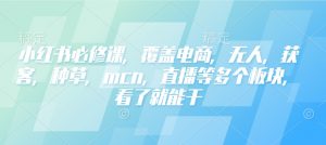 小红书必修课，覆盖电商，无人，获客，种草，mcn，直播等多个板块，看了就能干-海旭网创