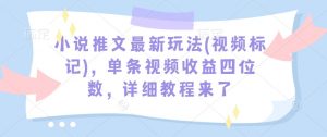 小说推文最新玩法(视频标记)，单条视频收益四位数，详细教程来了-海旭网创