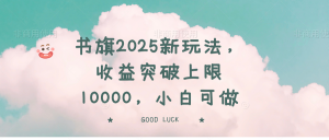 书旗2025新玩法，收益突破上限10000，小白可做-海旭网创