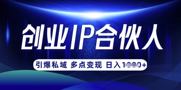 云帆·创业ip合伙人打造3.0，从0到1教你做网创，实现月入过W-海旭网创