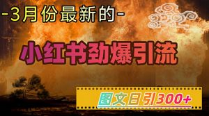 小红书超劲爆引流手段，图文日引300+轻松变现1W-海旭网创
