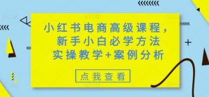 小红书电商高级课程，新手小白必学方法，实操教学+案例分析-海旭网创