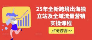 25年全新跨境出海独立站及全域流量营销实操课程，跨境电商独立站TIKTOK全域营销普货特货玩法大全-海旭网创