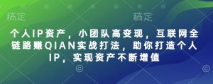 个人IP资产，小团队高变现，互联网全链路赚QIAN实战打法，助你打造个人IP，实现资产不断增值-海旭网创