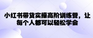小红书带货实操高阶训练营，让每个人都可以轻松学会-海旭网创