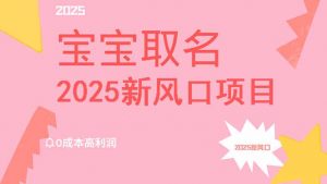 2025新风口项目宝宝取名，0成本高利润，附保姆级教程，月入过万不是梦-海旭网创