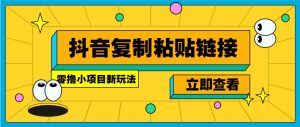 零撸小项目，新玩法，抖音复制链接0.07一条，20秒一条，无限制。-海旭网创