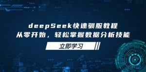 deepSeek快速驯服教程，从零开始，轻松掌握数据分析技能-海旭网创