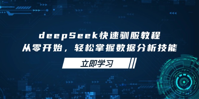 deepSeek快速驯服教程，从零开始，轻松掌握数据分析技能-海旭网创