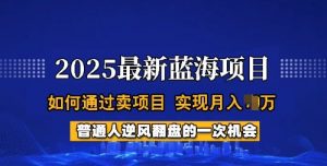 2025蓝海项目，普通人如何通过卖项目，实现月入过W，全过程【揭秘】-海旭网创