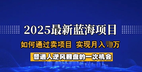 2025蓝海项目，普通人如何通过卖项目，实现月入过W，全过程【揭秘】-海旭网创