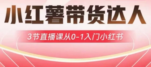 小红薯达人带货启航计划，3节直播课从0-1入门小红书-海旭网创