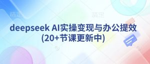 deepseek AI实操变现与办公提效(20+节课更新中)-海旭网创