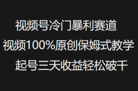 视频号冷门暴利赛道视频100%原创保姆式教学起号三天收益轻松破千-海旭网创