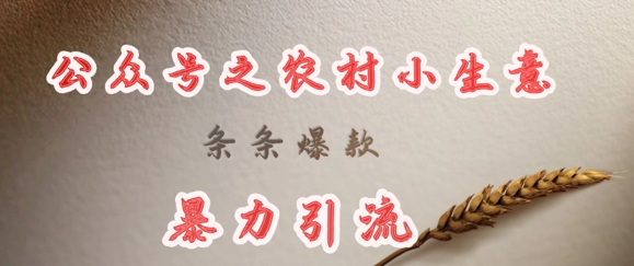 deepseek写农村小项目，条条爆款，暴力引流-海旭网创