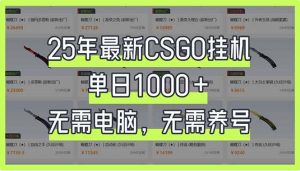 25年最新CSGO挂机系统，单日1000+，无需电脑，无需养号，0基础可上手-海旭网创