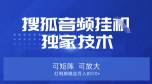 【搜狐音频挂G】独家技术，可矩阵可放大，红利期稳定月入8k【揭秘】-海旭网创