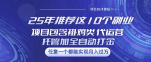 25年推荐这10个副业项目包含褂鸡类、代运营托管类、全自动打金类【揭秘】-海旭网创