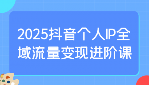 2025抖音个人IP全域流量变现进阶课：选爆品、抖音付费投流、千川投流实操及优化等-海旭网创