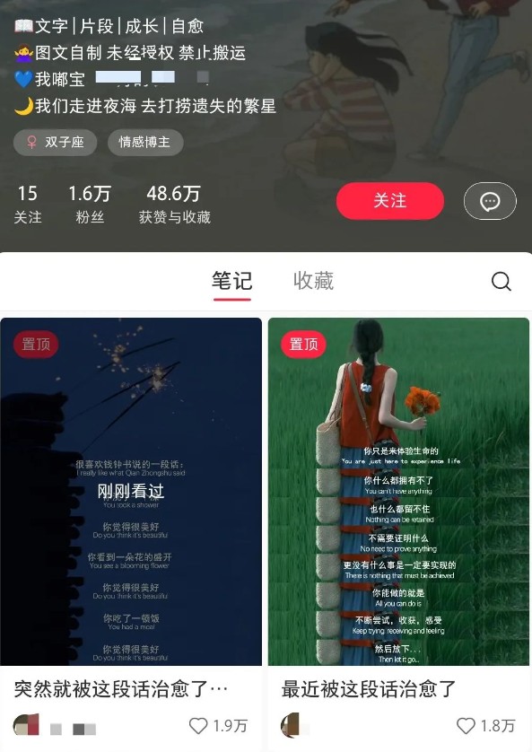 小红书治愈文案图文笔记，零门槛，一分钟制作轻松制作爆款作品月入万元-海旭网创
