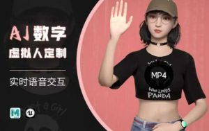 Ai数字人虚拟(智能体)实时语音交互特训营，​自行定制超写实角色AI数字人交互技术-海旭网创