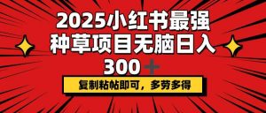 2025小红书最强种草项目，无脑日入300+，复制粘帖即可，多劳多得-海旭网创