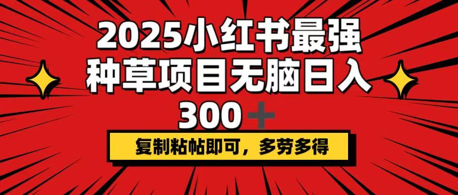 2025小红书最强种草项目，无脑日入300+，复制粘帖即可，多劳多得-海旭网创