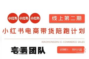 小红书电商带货课2期，月利润20个的小红书电商的有货源，无货源，虚拟产品，付费投流等整套玩法-海旭网创