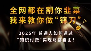 全网都在割你韭菜，我来教你做镰刀,2025普通人如何通过知识付费，实现财F自由【揭秘】-海旭网创