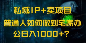 私域IP+卖项目，普通人如何做到宅家办公实现日入1000+-海旭网创