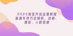 2025淘宝开店运营教程更新，直通车技巧全解析，动销、爆款、人群搭建-海旭网创