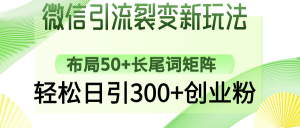 微信引流裂变新玩法：布局50+长尾词矩阵，轻松日引300+创业粉-海旭网创