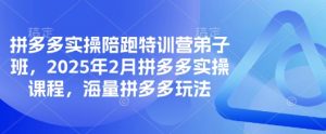 拼多多实操陪跑特训营弟子班，2025年2月拼多多实操课程，海量拼多多玩法-海旭网创
